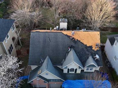Professional Roofing Contractors Professional Roofing Contractors